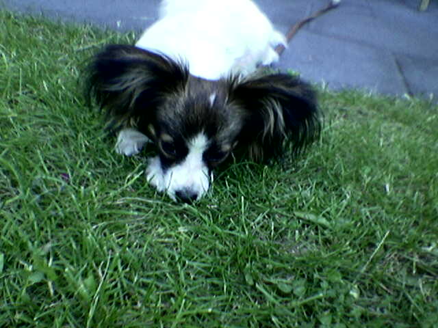Bild004