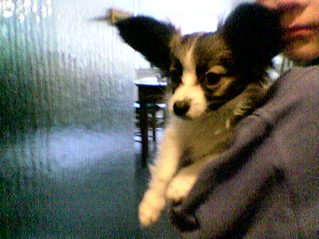 Bild081